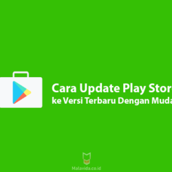 Cara Update Play Store