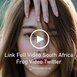 Link Full Video South Africa Frog Video Twitter